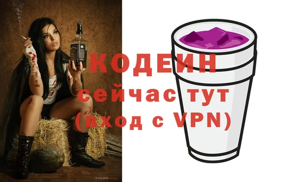 МДПВ Заводоуковск
