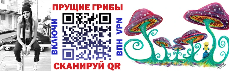 наркошоп Катайск Псилоцибиновые грибы мицелий