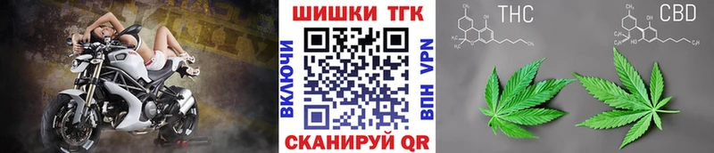 Канабис OG Kush Катайск
